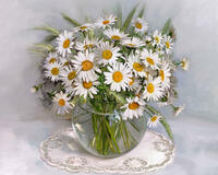 Без бренда «Букет ромашек с колосками в круглой вазе_» в Омске 