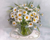 Без бренда «2KMA-0021» в Омске 