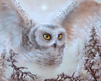 Без бренда «2KMB-3848» в Омске 