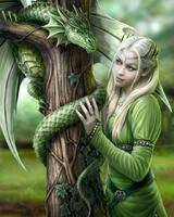 Без бренда «Эльфийка и зеленый дракон» в Омске 