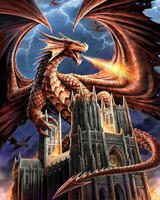 Без бренда «Дракон огня и молний» в Омске 