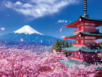 Без бренда «2KSB-7277» в Омске 