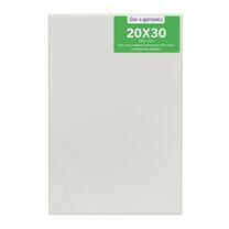 Без бренда «Коробка 80 шт.: Холст Две картинки на подрамнике 20X30» в Омске 