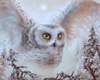 Без бренда «Полярная сова над лесом (20шт)» в Омске 