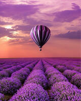 Без бренда «Фиолетовый воздушный шар над фиолетовым лавандовым полем (20шт)» в Омске 