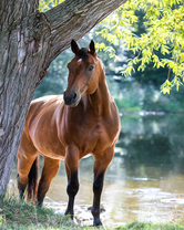 Без бренда «BOX20-2KMB-4594» в Омске 