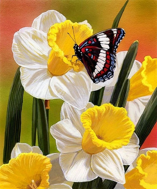 Картина по номерам 40x50 Бабочка на красивых нарциссах