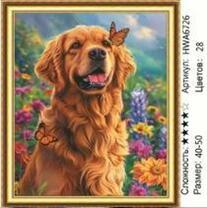 Без бренда «HWA6726» в Омске в интернет-магазине  Без бренда «HWA6726» в Омске