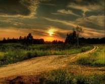 Без бренда «Проселочная дорога на закате» в Омске 