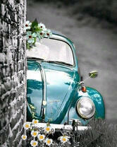 Автомобиль среди цветов