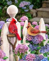 Птицы на цветах гортензии