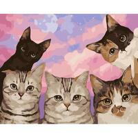Без бренда «Такие разные котики» в Омске  в интернет-магазине  Без бренда «Такие разные котики» в Омске