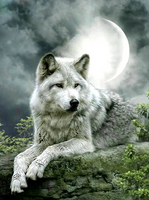 Без бренда «Коробка 25 шт. картин по номерам BOX25-GX21058» в Омске в интернет-магазине Без бренда «Коробка 25 шт. картин по номерам BOX25-GX21058» в Омске