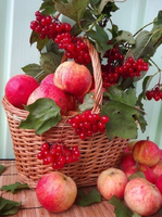 Без бренда «Коробка 25 шт. картин по номерам BOX25-GX5174» в Омске 