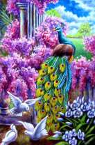 Цветы, павлин и голуби