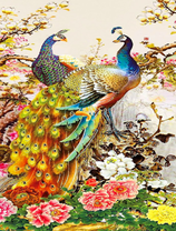 Два больших павлина среди цветущих веток