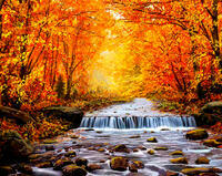 Без бренда «Золотые краски осени и водопад» в Омске в интернет-магазине Без бренда «Золотые краски осени и водопад» в Омске