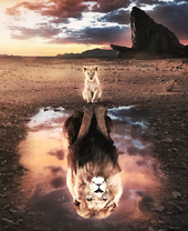 Львенок и его взрослое отражение