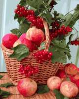 Без бренда «Плетёная корзина с калиной и яблоками» в Омске 