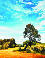 Без бренда «Осенний пейзаж с голубым небом» в Омске  в интернет-магазине  Без бренда «Осенний пейзаж с голубым небом» в Омске