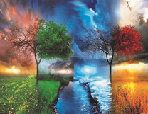 Четыре времени года на одном изображении