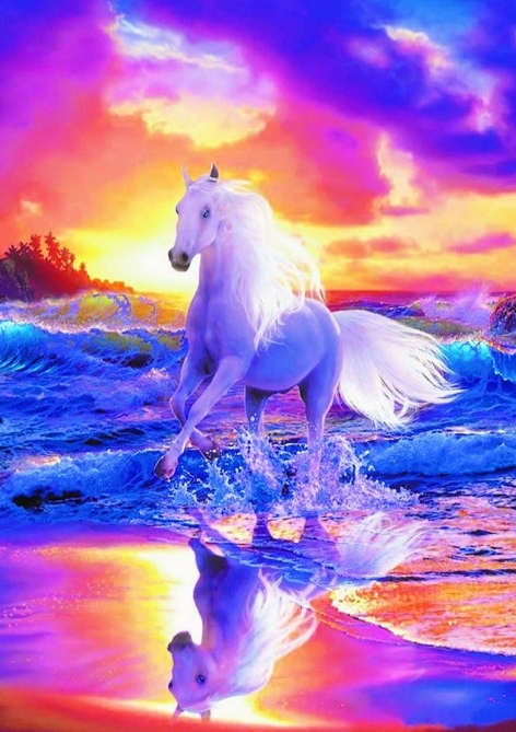 Алмазная мозаика 30x40 Белая лошадь на фоне красочного заката над морем