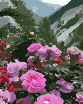 Розовые цветы в горах
