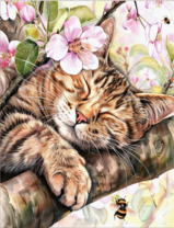 Без бренда «Волосатый котик спит на ветви яблони» в Омске в интернет-магазине  Без бренда «Волосатый котик спит на ветви яблони» в Омске