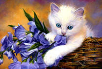 Белый котенок в корзинке с ирисами