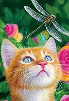 Рыжий котёнок и стрекоза