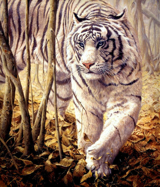 Картина по номерам 40x50 Роскошный белый тигр